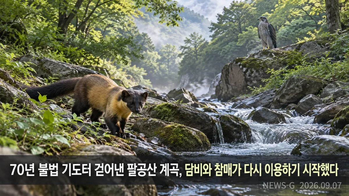 3-1 팔공산 계곡, 야생동물의 귀환.png